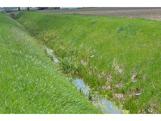 Property photo 16 - 77.4 Productive, Tillable Acres Land Auction